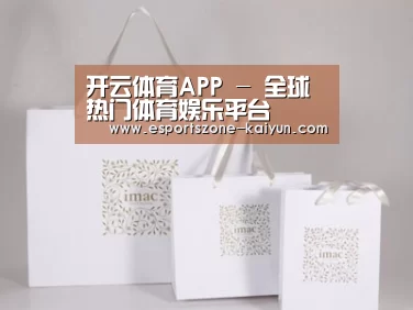 项目名称十一