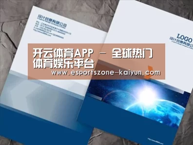 项目名称十