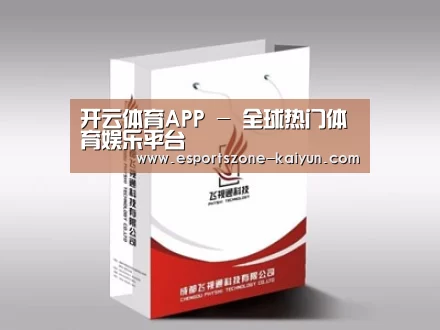 项目名称十三