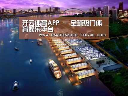 案例展示八