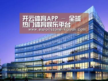 案例展示五