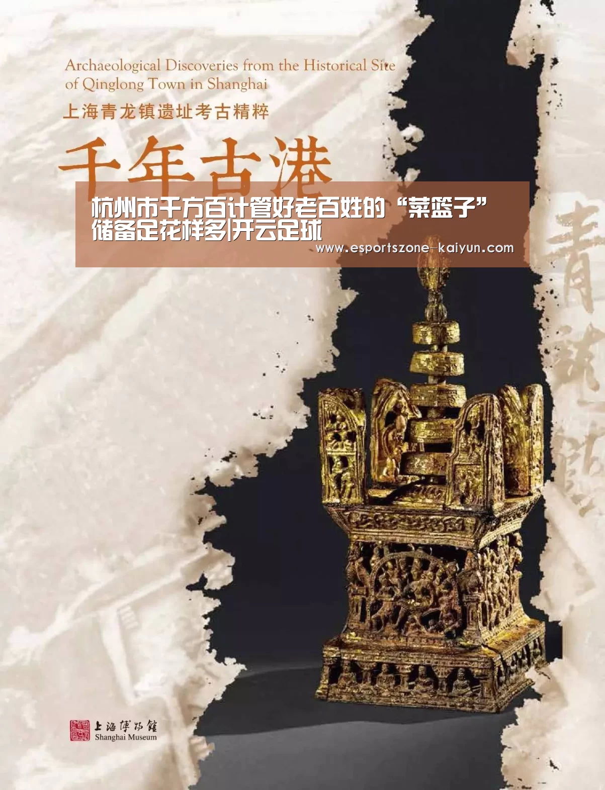 杭州市千方百计管好老百姓的“菜篮子”储备足花样多|开云足球(图1) 开云篮球