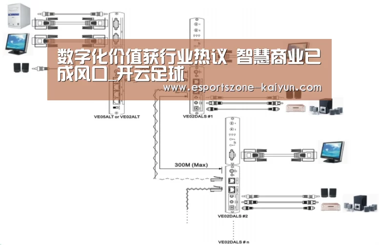 数字化价值获行业热议 智慧商业已成风口_开云足球(图2) 开云篮球